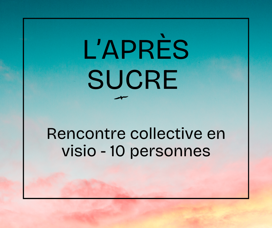 Rencontre collective en visio 13/02/2026 à 12h